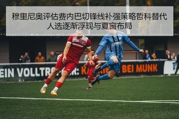 mu-li-ni-ao-ping-gu-fei-nei-ba-qie-feng-xian-bu-qiang-ce-lve-zhe-ke-ti-dai-ren-xuan-zhu-jian-fu-xian-yu-xia-chuang-bu-ju-2-715.jpg